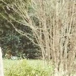 Meet your Posher, Regan